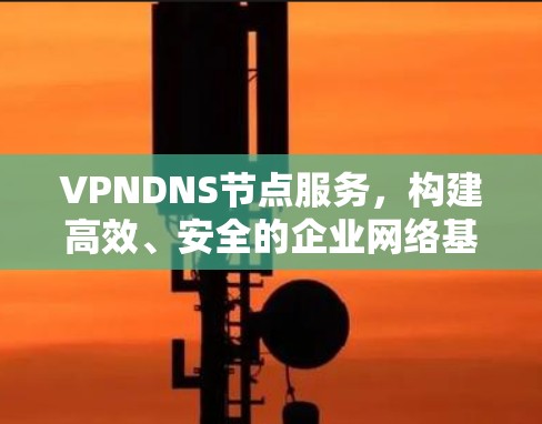 VPNDNS节点服务,构建高效、安全的企业网络基础 VPNDNS节点服务,构建高效、安全的企业网络基础