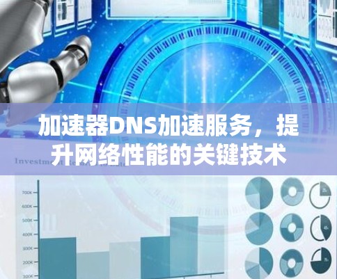 加速器DNS加速服务，提升网络性能的关键技术