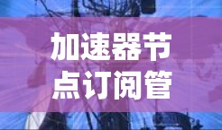 加速器节点订阅管理是一个复杂而重要的任务，涉及多个关键环节。以下是对该过程的系统化总结