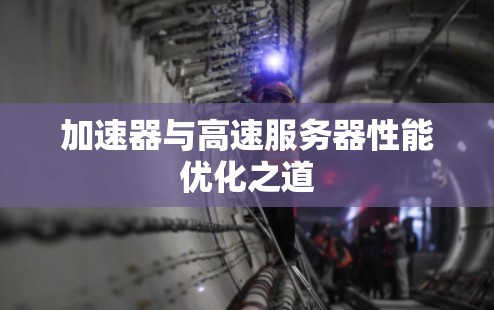 加速器与高速服务器性能优化之道