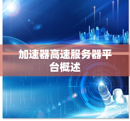 加速器高速服务器平台概述 加速器高速服务器平台概述