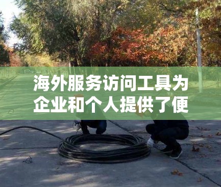 海外服务访问工具为企业和个人提供了便捷的跨国业务和访问解决方案,涵盖多个方面,帮助用户克服地理限制。以下是这些工具的详细分类和总结 海外服务访问工具为企业和个人提供了便捷的跨国业务和访问解决方案,涵盖多个方面,帮助用户克服地理限制。以下是这些工具的详细分类和总结