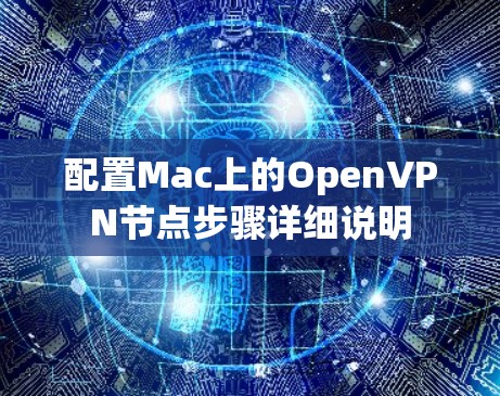 配置Mac上的OpenVPN节点步骤详细说明