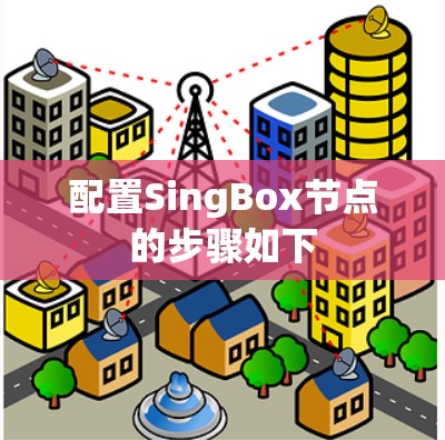 配置SingBox节点的步骤如下 配置SingBox节点的步骤如下