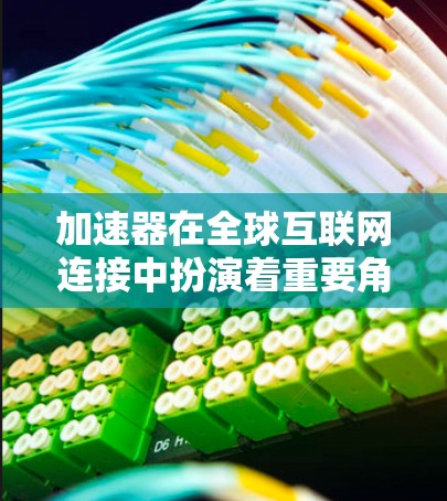 加速器在全球互联网连接中扮演着重要角色，主要用于优化数据传输和访问速度。以下是一些常见的加速器类型及其作用