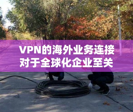 VPN的海外业务连接对于全球化企业至关重要,确保数据安全和隐私。以下是对VPN海外业务连接的详细分步解释 VPN的海外业务连接对于全球化企业至关重要,确保数据安全和隐私。以下是对VPN海外业务连接的详细分步解释