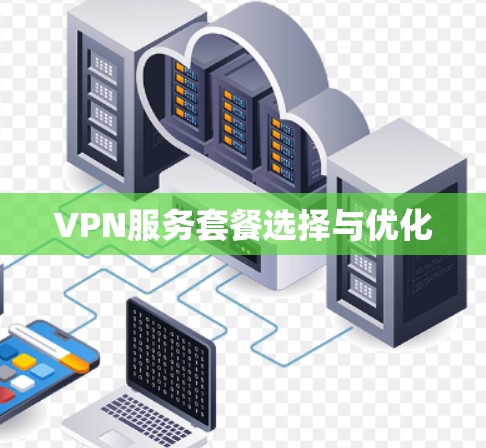 VPN服务套餐选择与优化