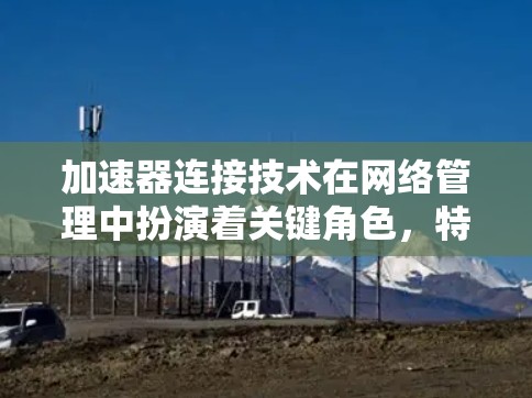 加速器连接技术在网络管理中扮演着关键角色，特别是在云计算和边缘计算环境中。以下是对加速器连接技术的深入分析