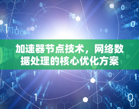 加速器节点技术,网络数据处理的核心优化方案 加速器节点技术,网络数据处理的核心优化方案