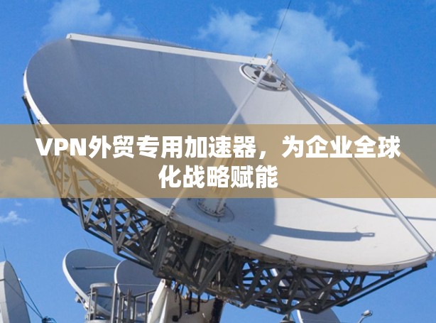 VPN外贸专用加速器，为企业全球化战略赋能