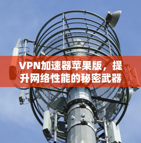VPN加速器苹果版，提升网络性能的秘密武器