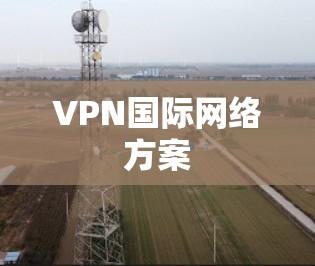VPN国际网络方案 VPN国际网络方案