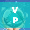 VPN国际网络优化策略与实现
