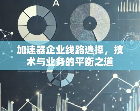 加速器企业线路选择,技术与业务的平衡之道 加速器企业线路选择,技术与业务的平衡之道