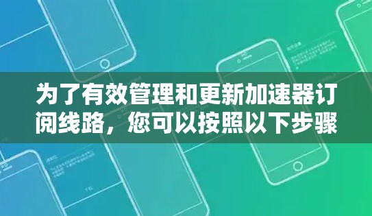为了有效管理和更新加速器订阅线路，您可以按照以下步骤进行