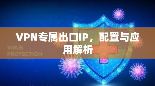 VPN专属出口IP，配置与应用解析