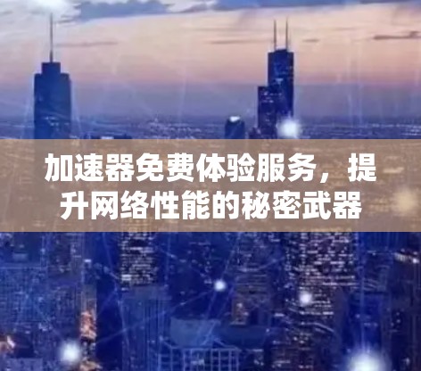 加速器免费体验服务，提升网络性能的秘密武器