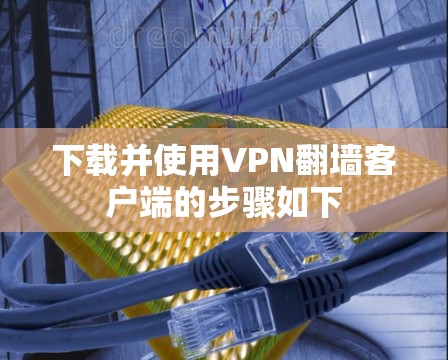 下载并使用VPN翻墙客户端的步骤如下