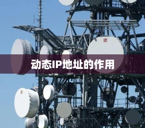 动态IP地址的作用 动态IP地址的作用