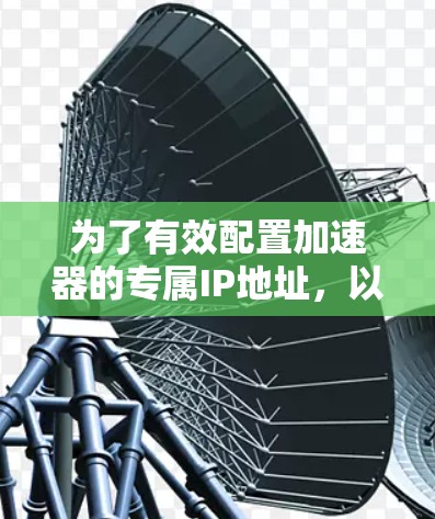 为了有效配置加速器的专属IP地址，以下是一步步的指南