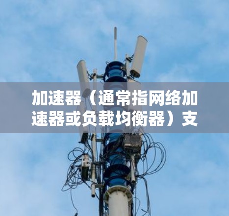 加速器(通常指网络加速器或负载均衡器)支持多协议,是指它能够同时处理和优化多种网络协议,如TCP、UDP、HTTP、HTTPS等,以提高网络设备的性能和用户体验 加速器(通常指网络加速器或负载均衡器)支持多协议,是指它能够同时处理和优化多种网络协议,如TCP、UDP、HTTP、HTTPS等,以提高网络设备的性能和用户体验