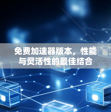 免费加速器版本，性能与灵活性的最佳结合