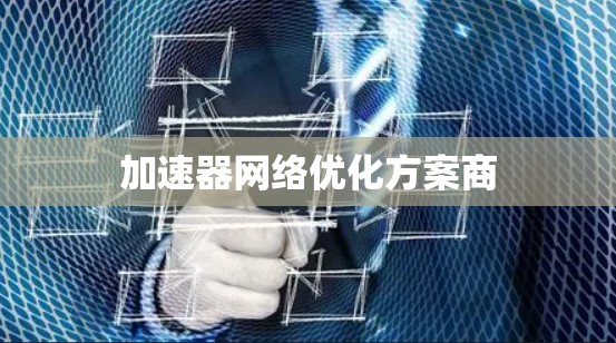 加速器网络优化方案商