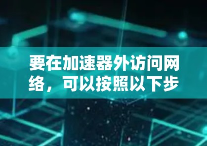 要在加速器外访问网络,可以按照以下步骤进行配置和测试