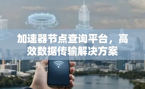 加速器节点查询平台，高效数据传输解决方案