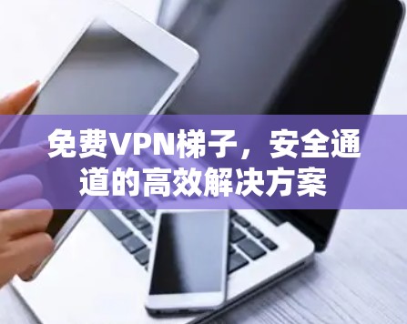 免费VPN梯子,安全通道的高效解决方案 免费VPN梯子,安全通道的高效解决方案