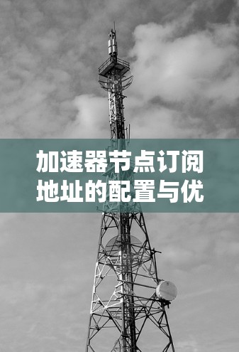 加速器节点订阅地址的配置与优化 加速器节点订阅地址的配置与优化