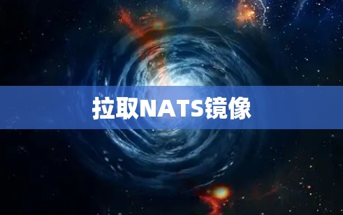 拉取NATS镜像