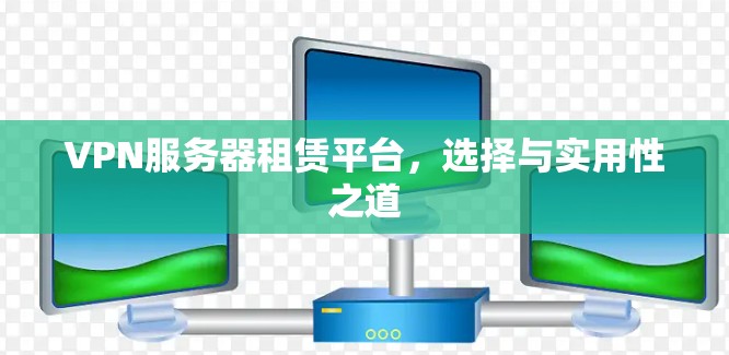 VPN服务器租赁平台,选择与实用性之道