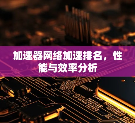 加速器网络加速排名,性能与效率分析