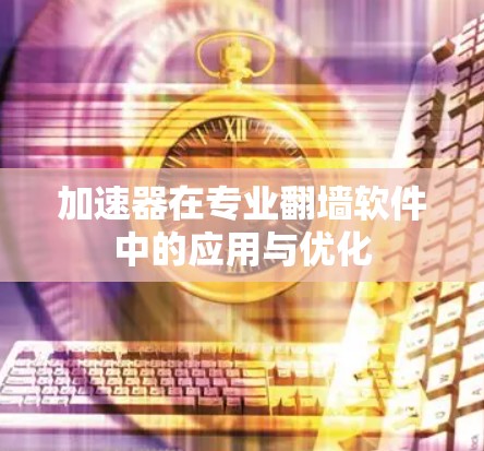 加速器在专业翻墙软件中的应用与优化
