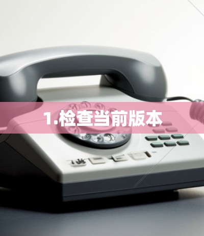 1.检查当前版本