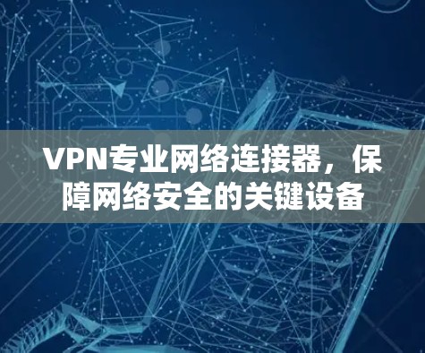 VPN专业网络连接器，保障网络安全的关键设备