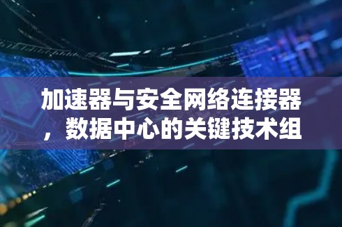 加速器与安全网络连接器,数据中心的关键技术组合