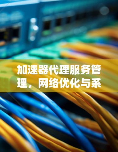 加速器代理服务管理,网络优化与系统性能提升策略 加速器代理服务管理,网络优化与系统性能提升策略