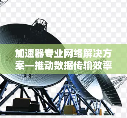 加速器专业网络解决方案—推动数据传输效率的革命性跃迁