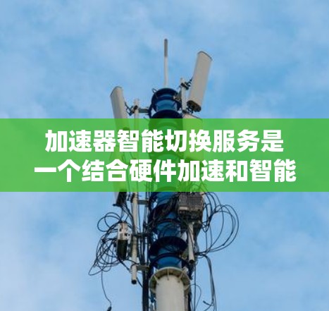 加速器智能切换服务是一个结合硬件加速和智能化管理的服务,旨在根据任务需求动态调整资源分配,以提高效率和性能。以下是对该服务的详细分析和总结 加速器智能切换服务是一个结合硬件加速和智能化管理的服务,旨在根据任务需求动态调整资源分配,以提高效率和性能。以下是对该服务的详细分析和总结