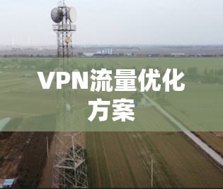 VPN流量优化方案