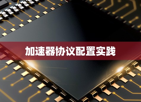 加速器协议配置实践 加速器协议配置实践